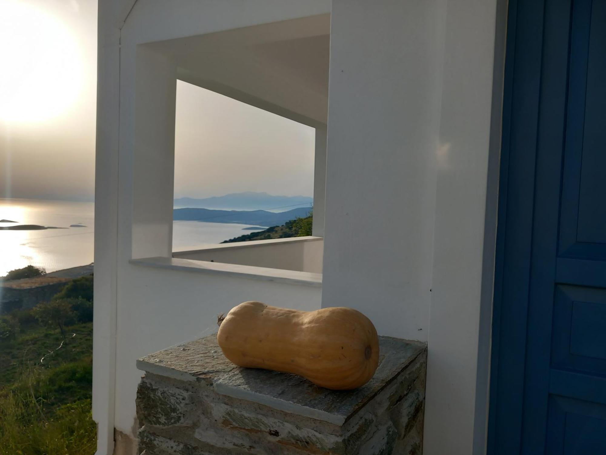 Appartement Aegean Mirror, Andros Aprovaton
